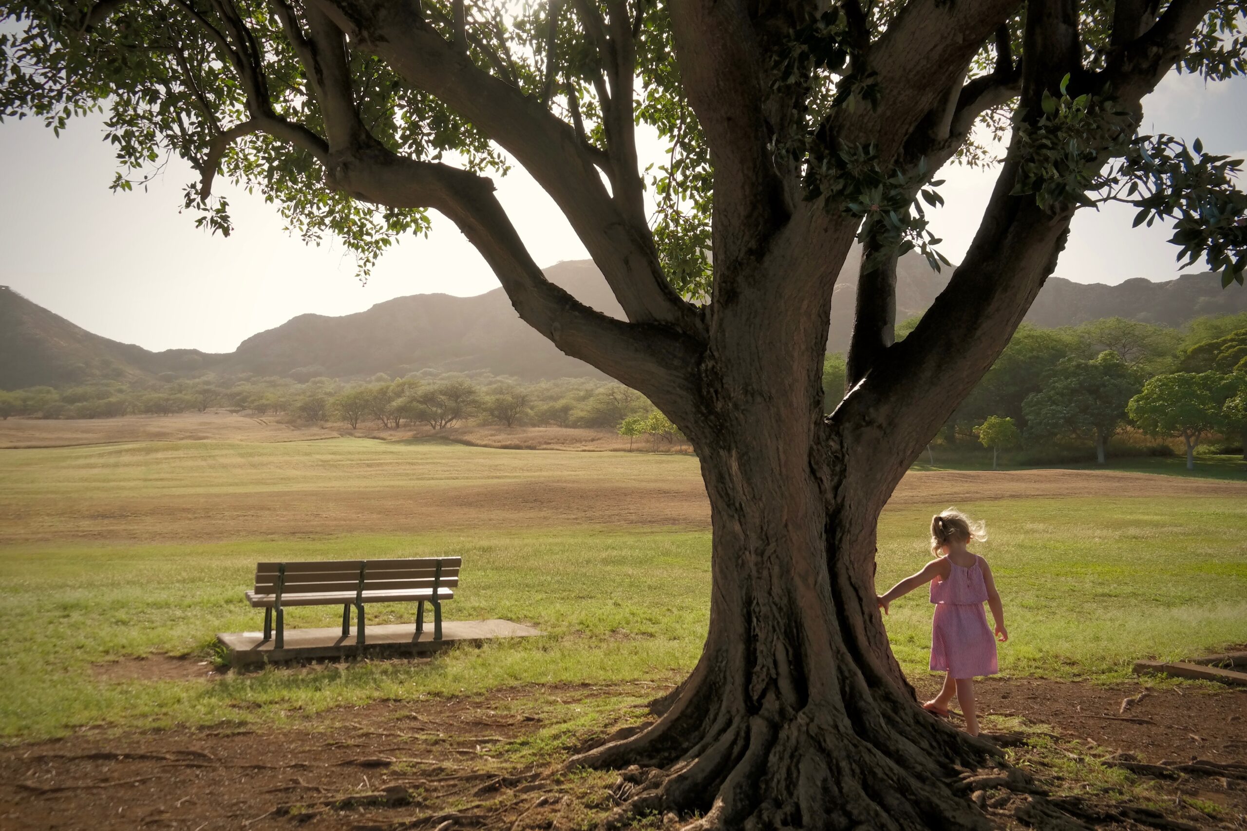Kind steht bei vor einem Baum der ist stark und resilient kraftvoll gross kind ist sicher